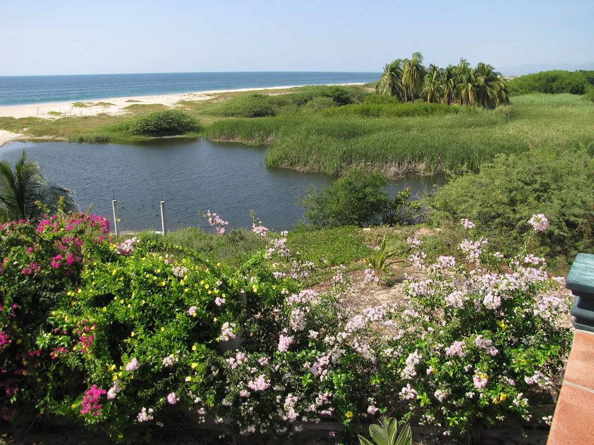 Manialtepec Lagoon