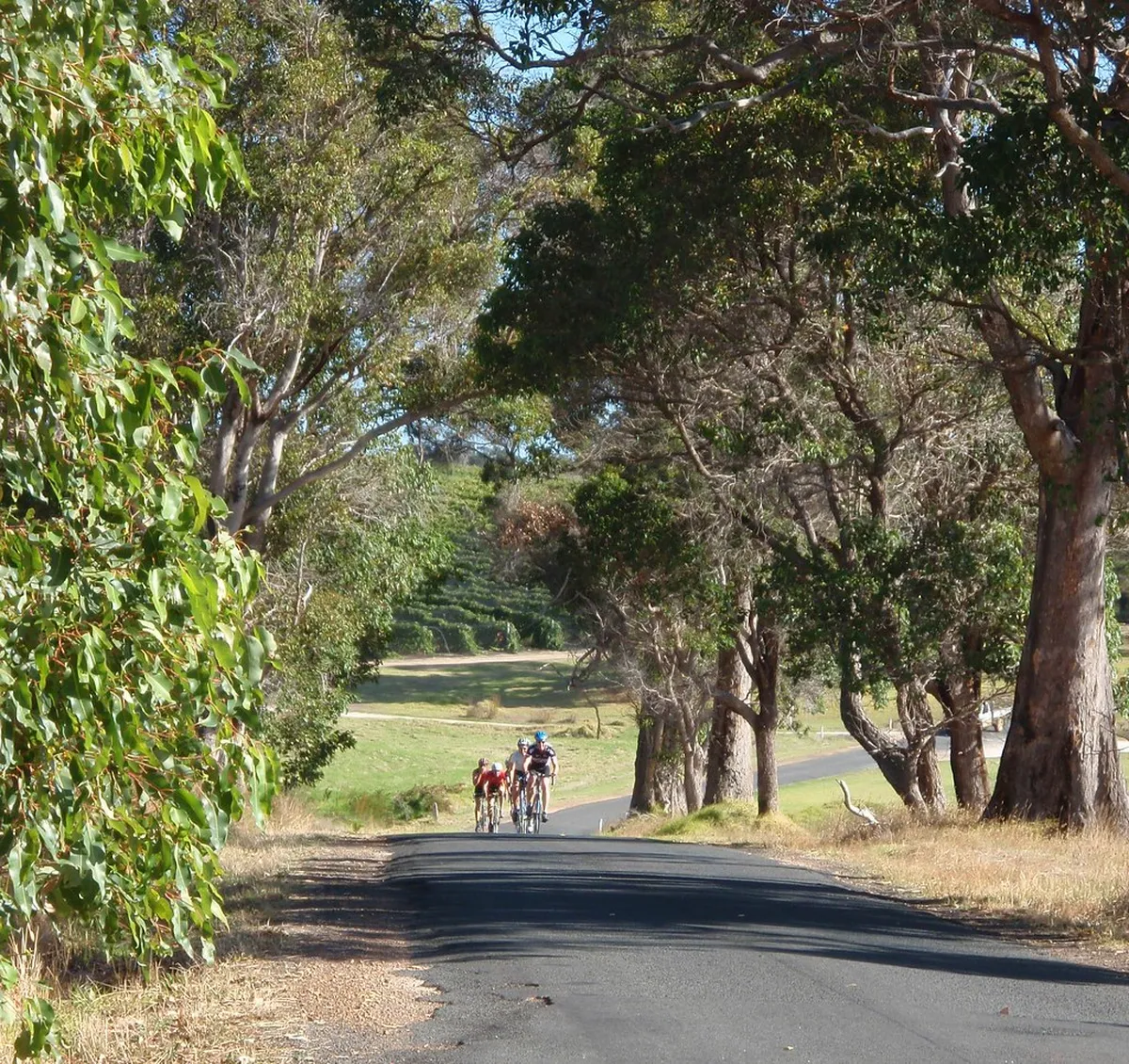 Introduction to margaret river