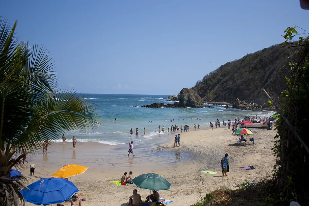 Introduction to mazunte