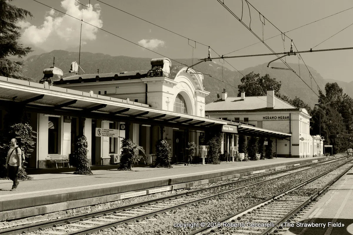 Introduction to merano meran