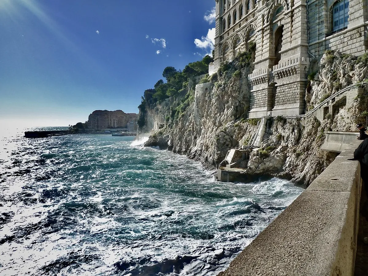 Monte Carlo
