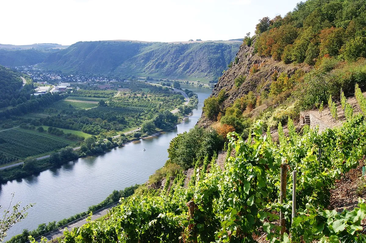 Moselle Valley
