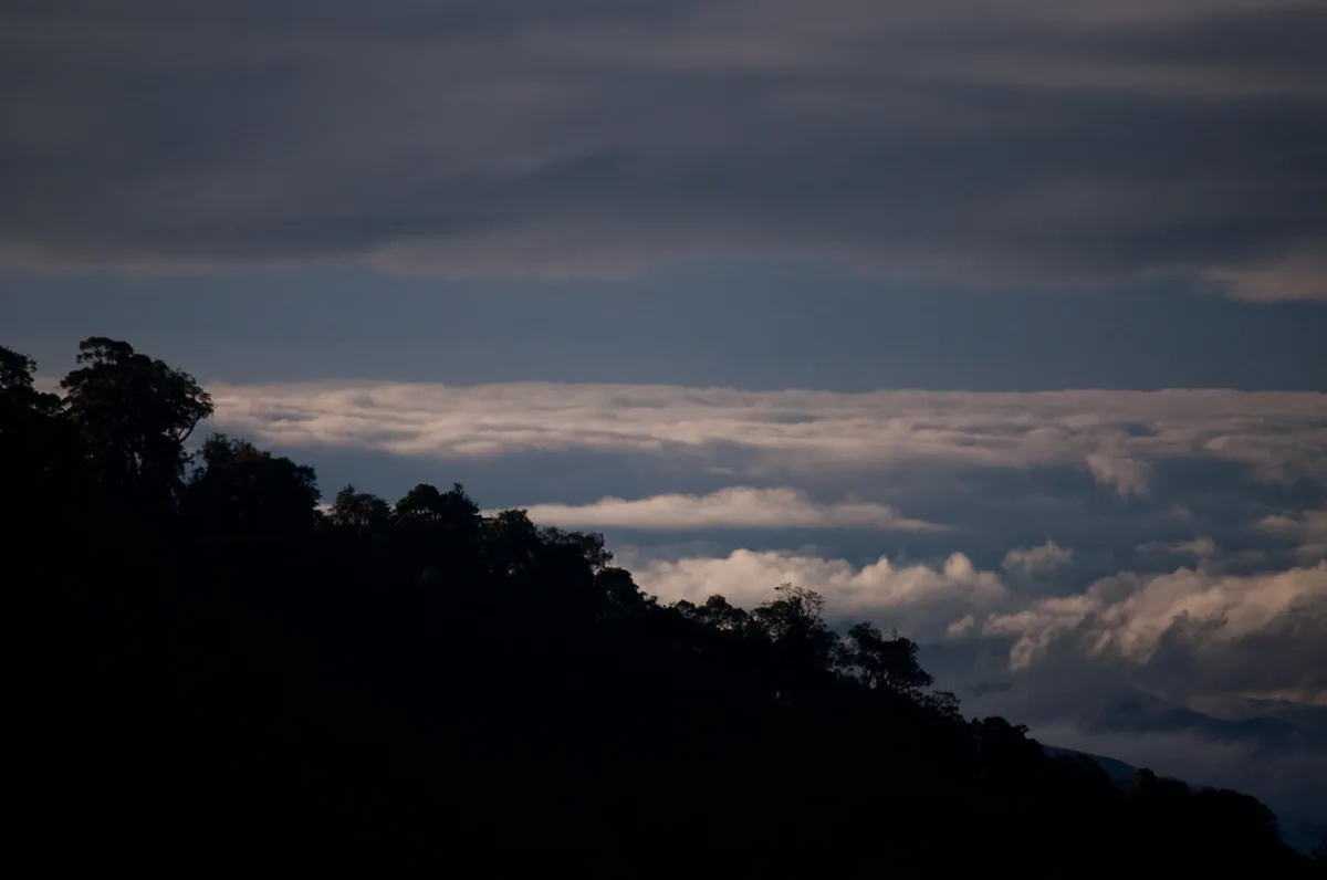 Introduction to munnar