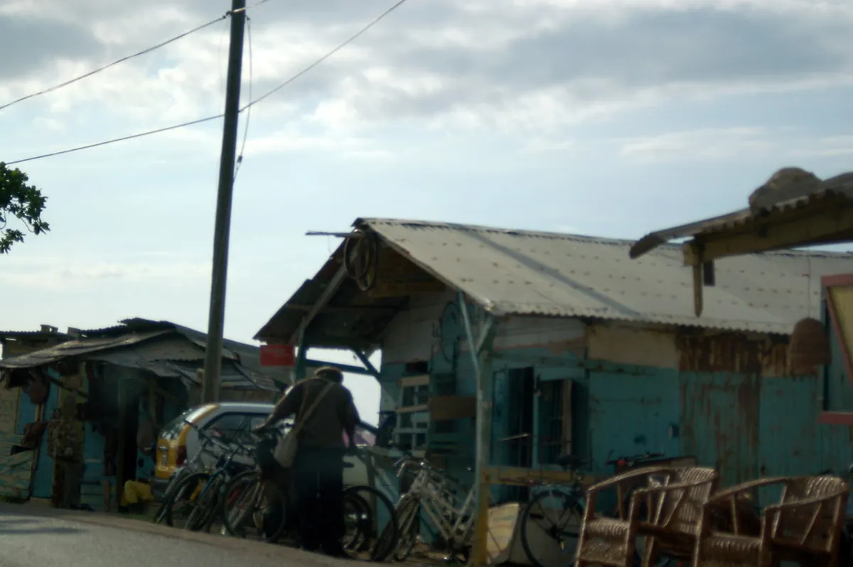 Introduction to negril