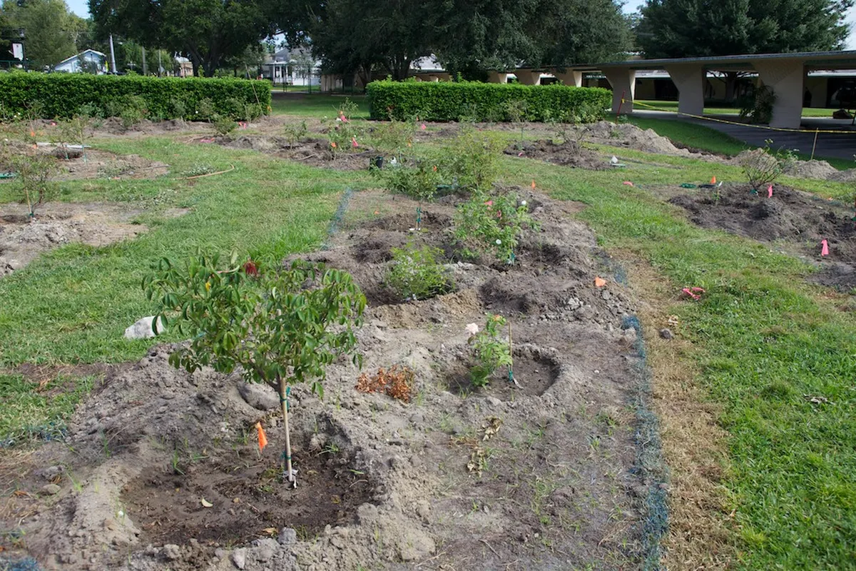 New Garden