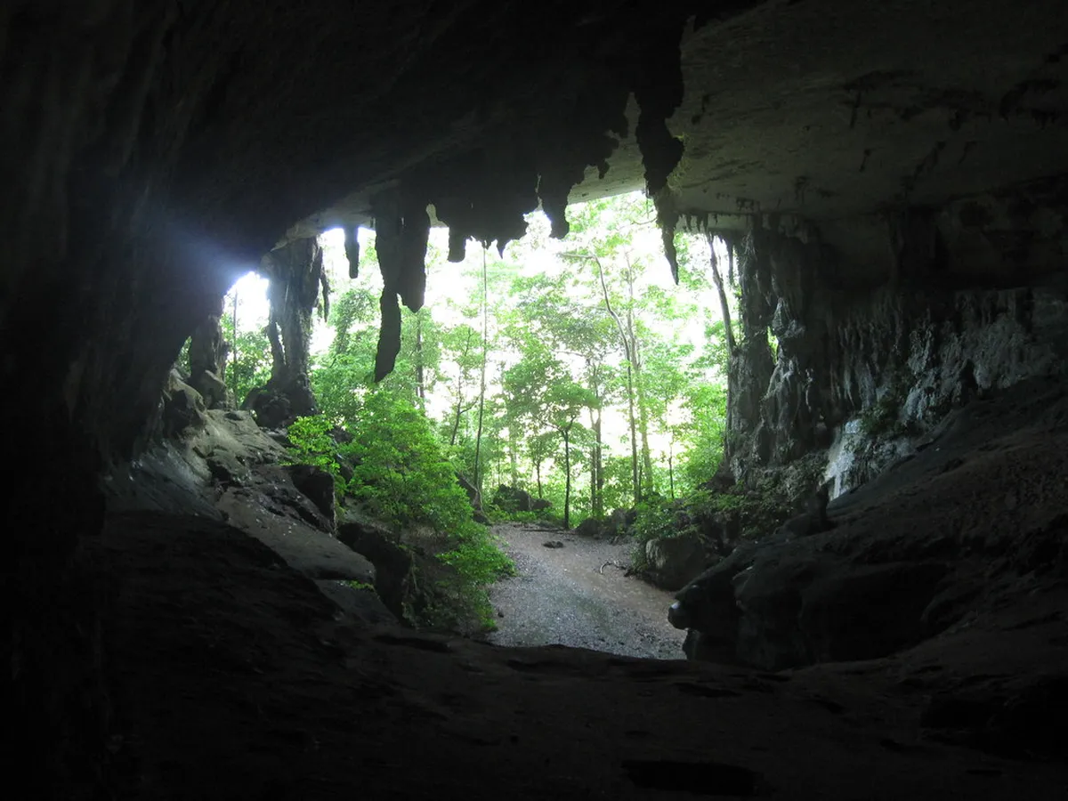 Niah Caves
