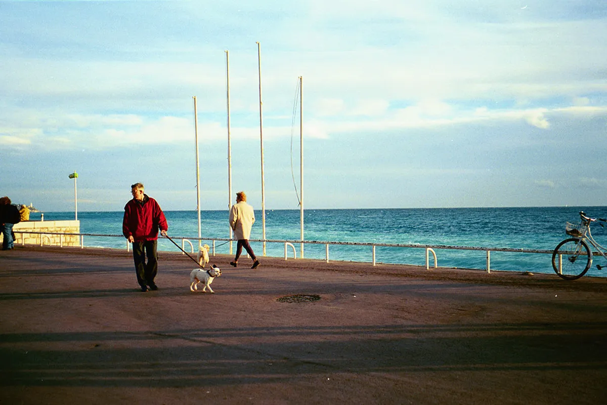 Introduction to nice