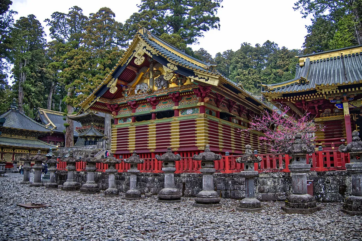 Introduction to nikkō