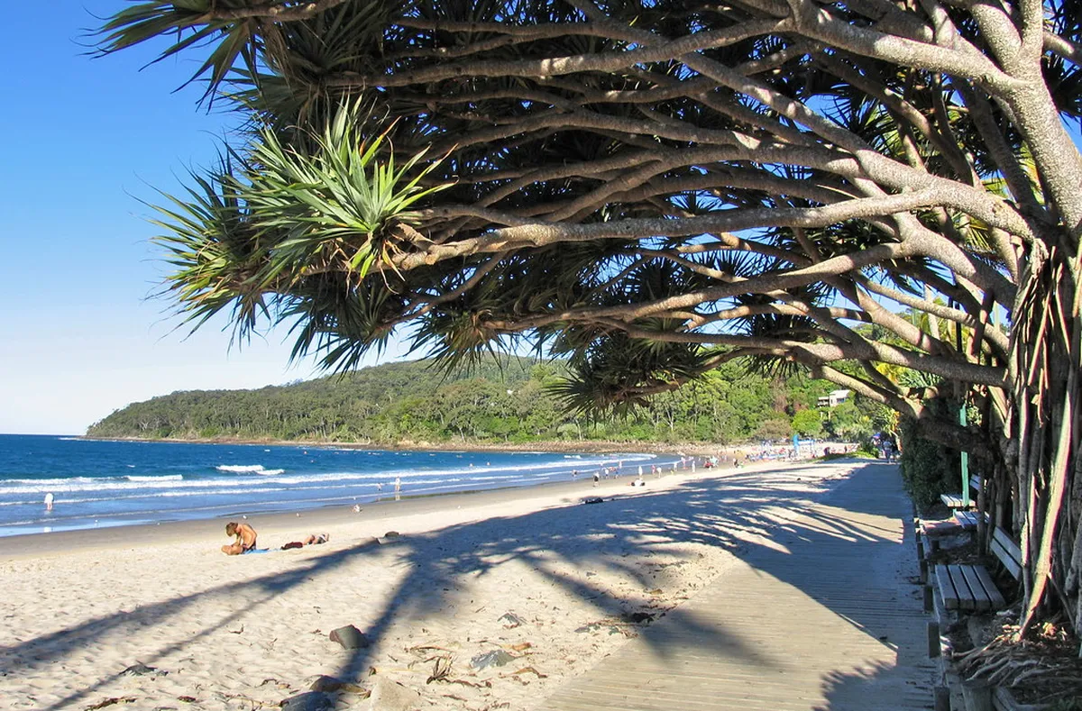 Introduction to noosa