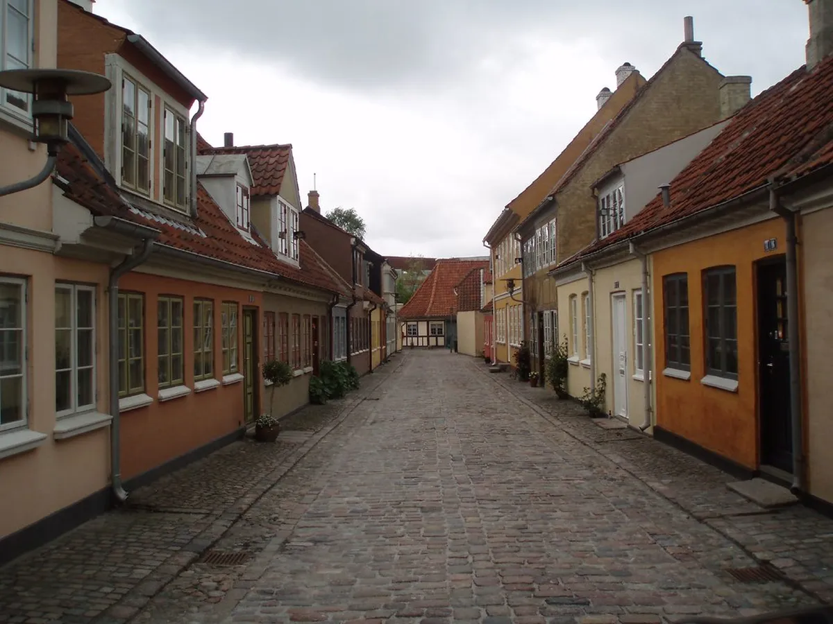 Introduction to odense