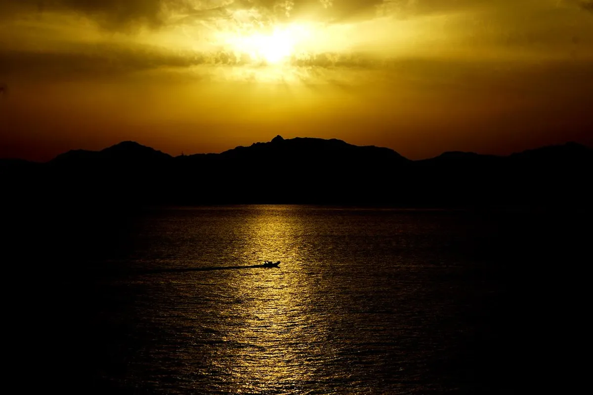 Introduction to olbia