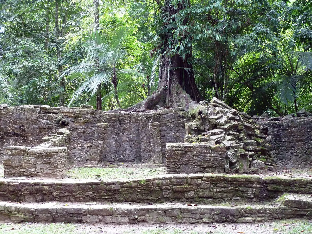 Introduction to palenque