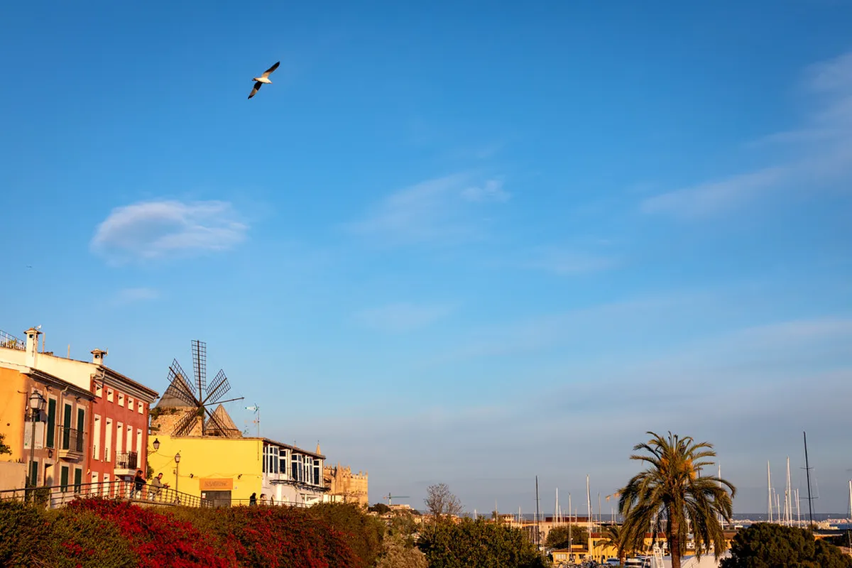 Introduction to palma de mallorca