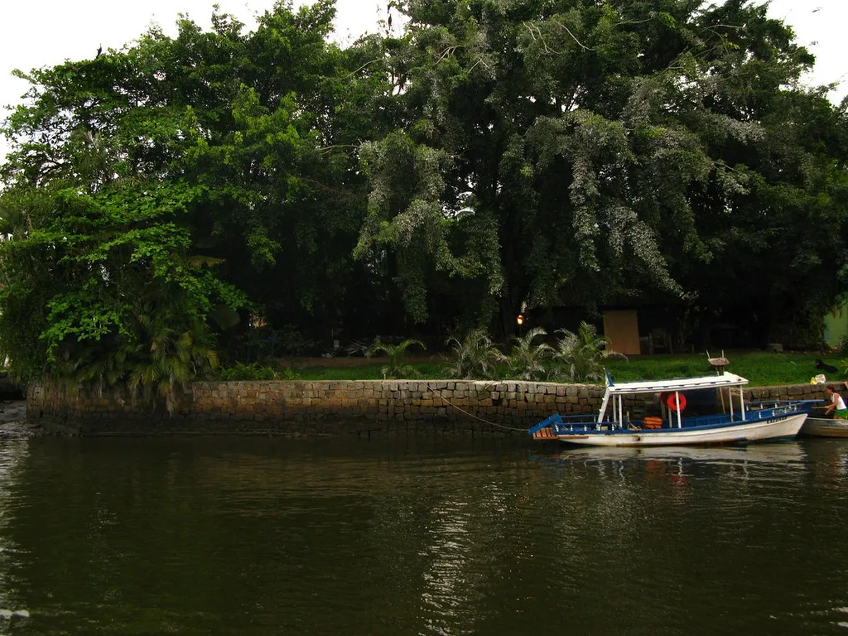 Introduction to paraty