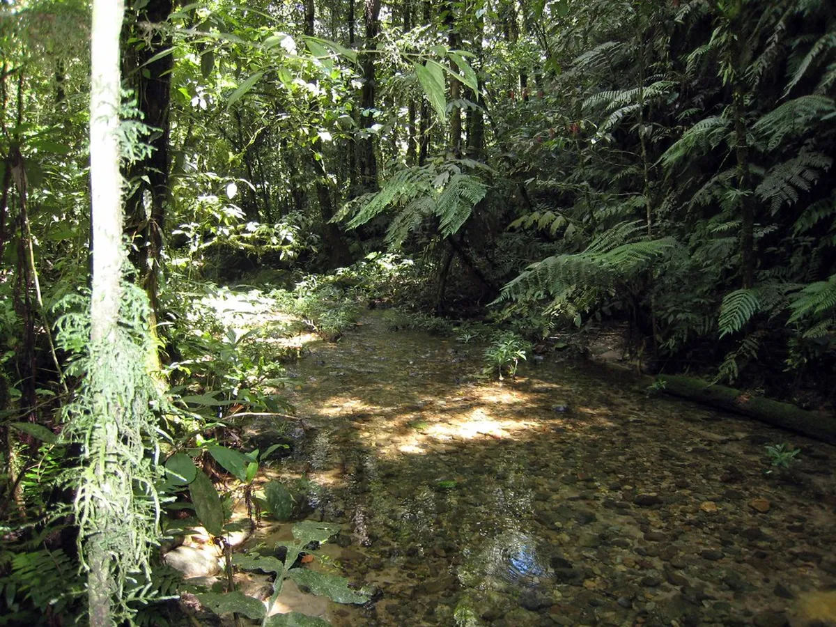 Parque Nacional Tunari