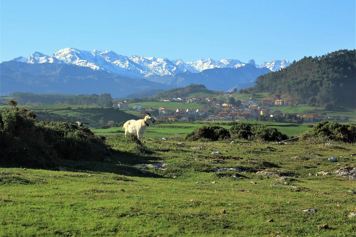 Picos de Europa