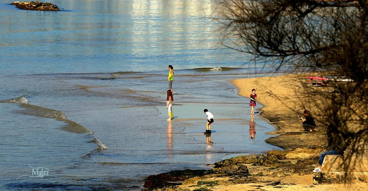 Playa Jardin