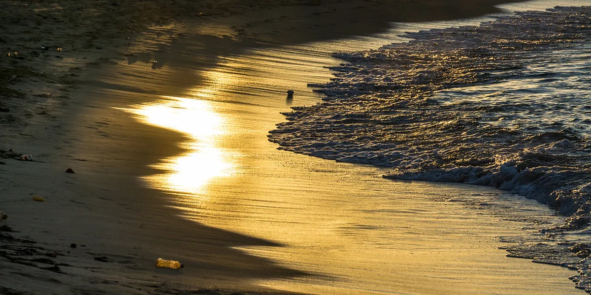 Playa Punta Popy