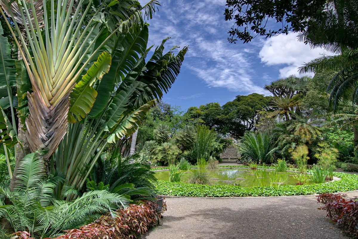 Introduction to puerto de la cruz