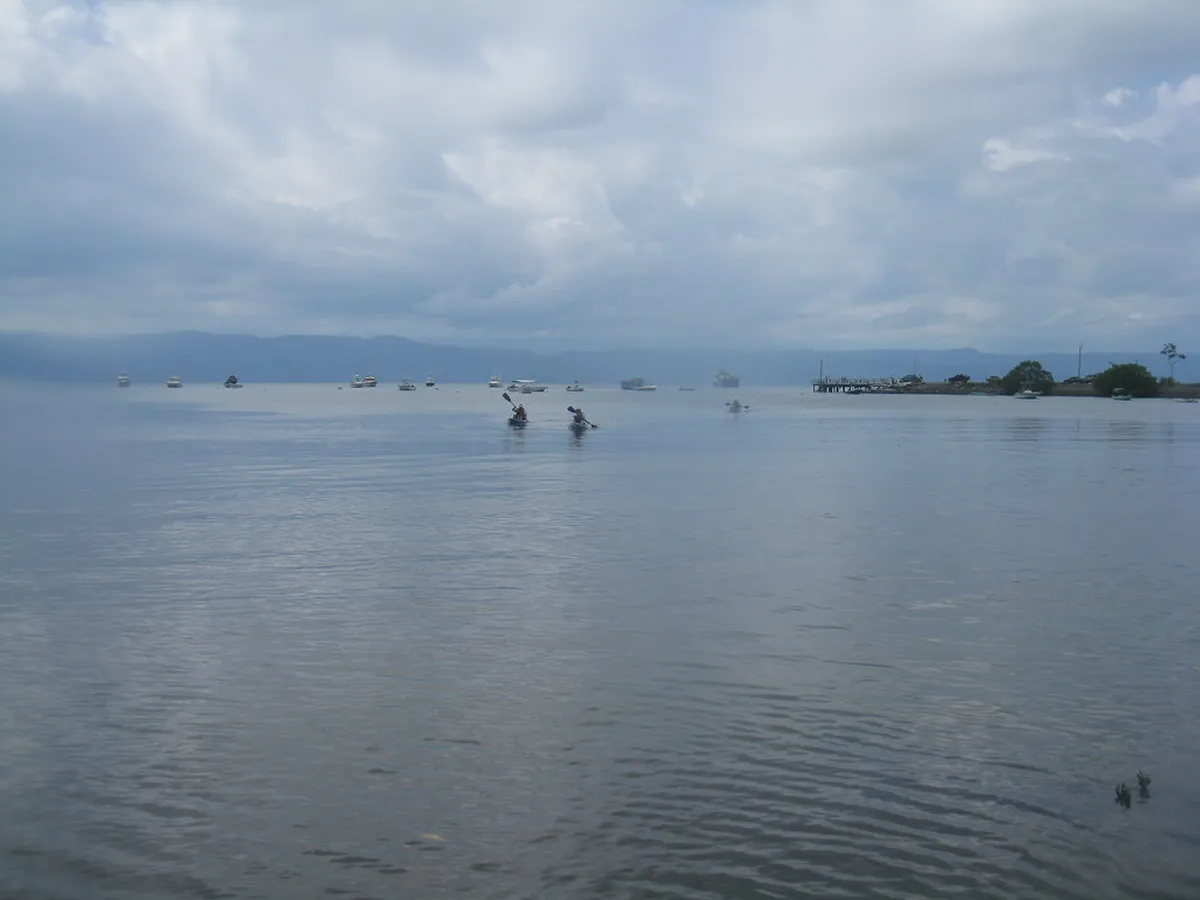 Introduction to puerto jiménez