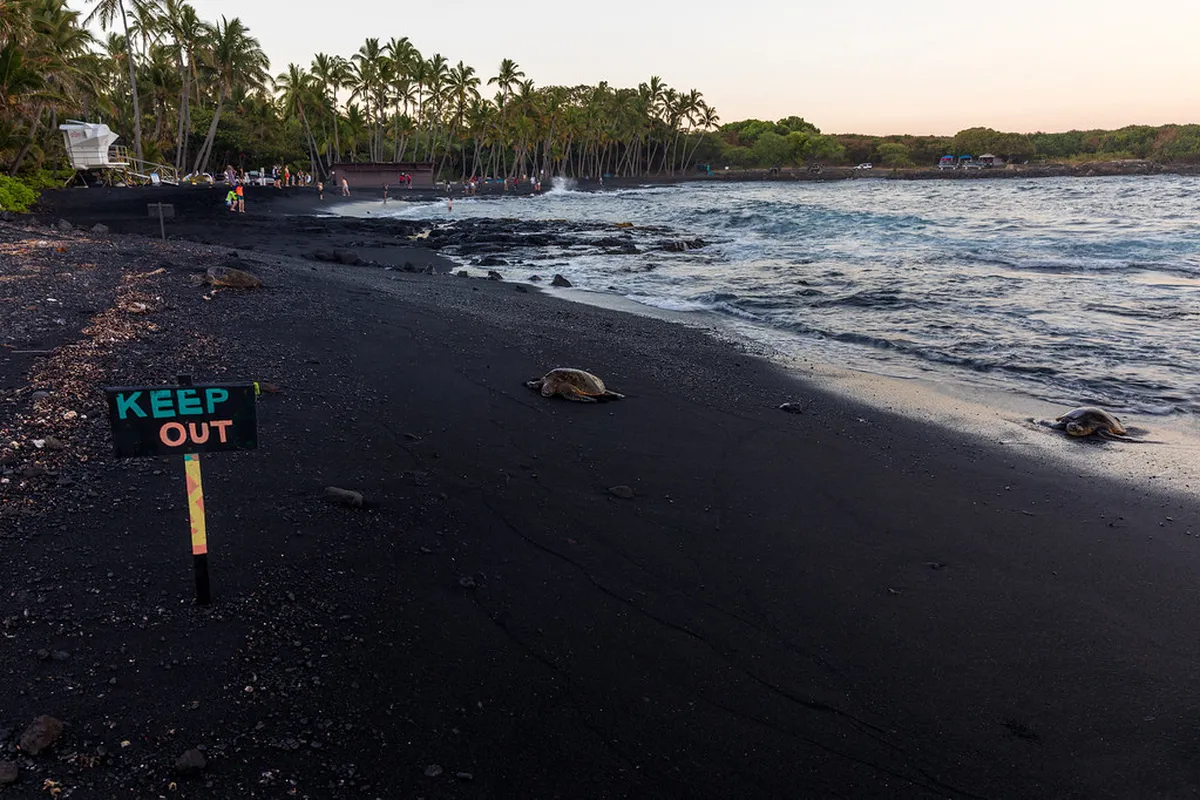 Punaluʻu Black Sand Beach