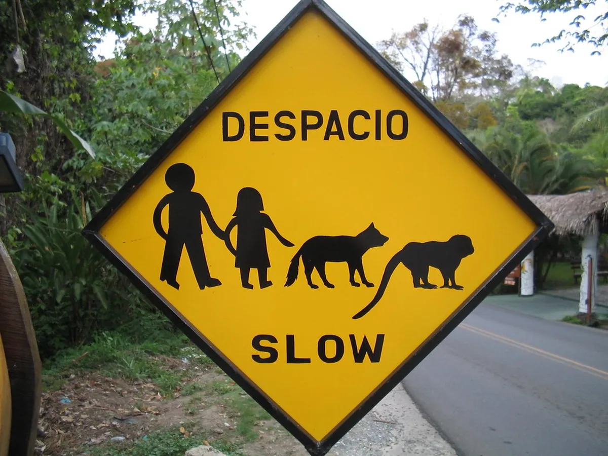 Introduction to quepos