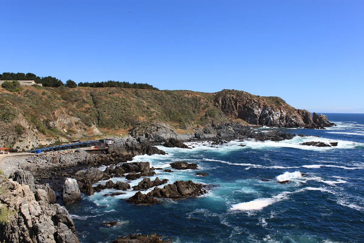 Quintay