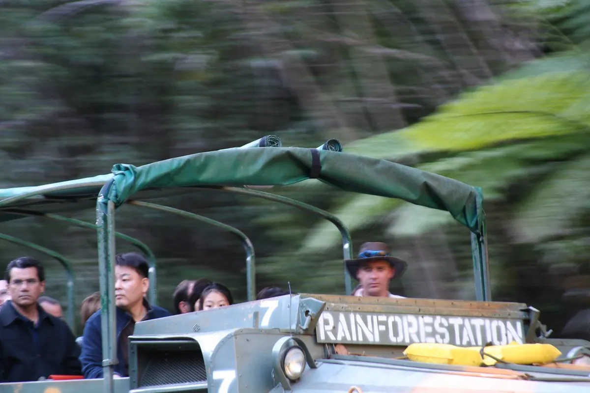 Rainforestation