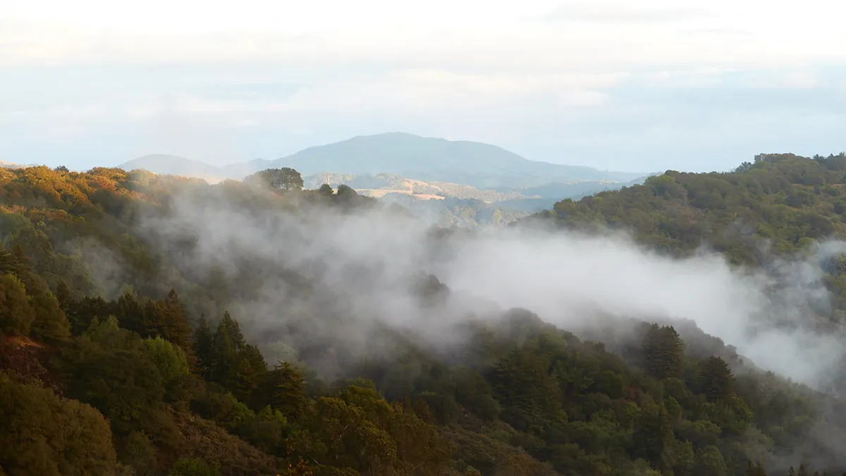 Redwood Regional Park