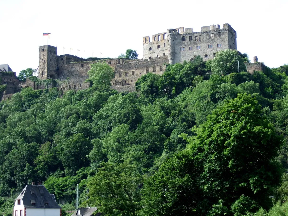 Rhine