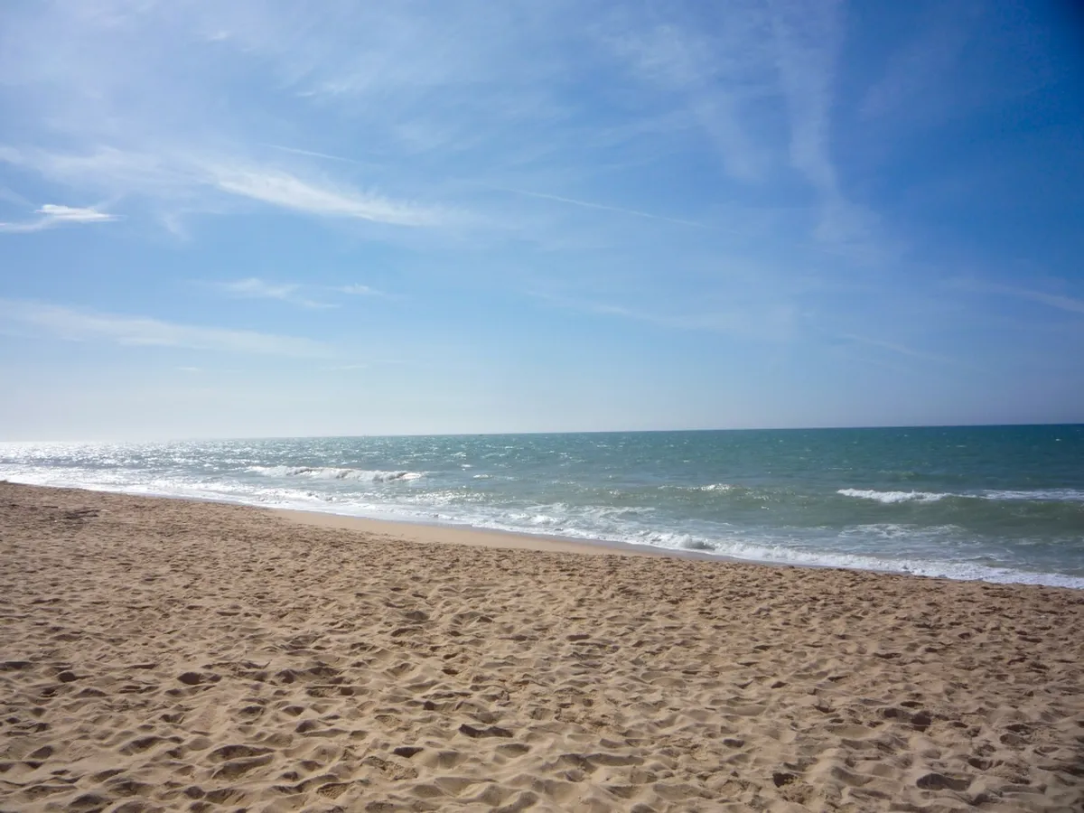 Ria Formosa Natural Park