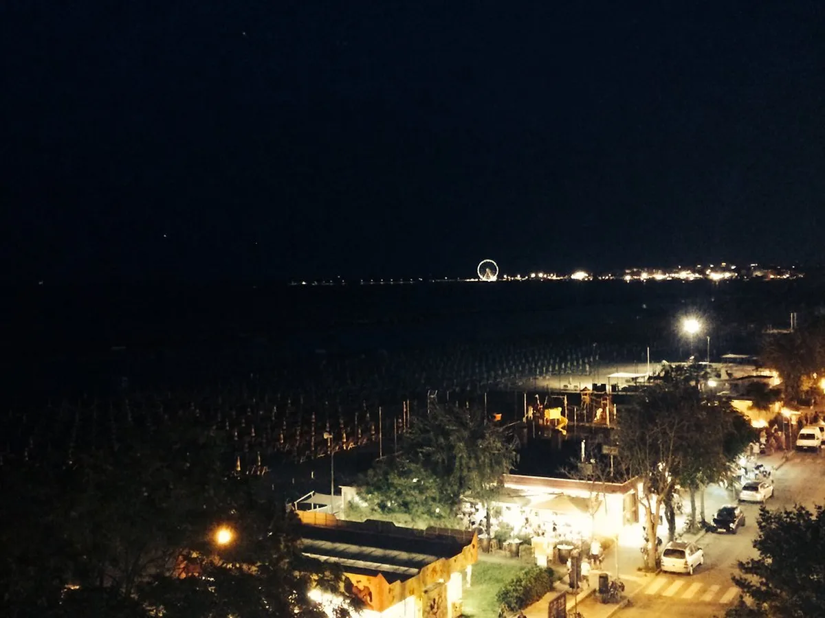 Introduction to rimini