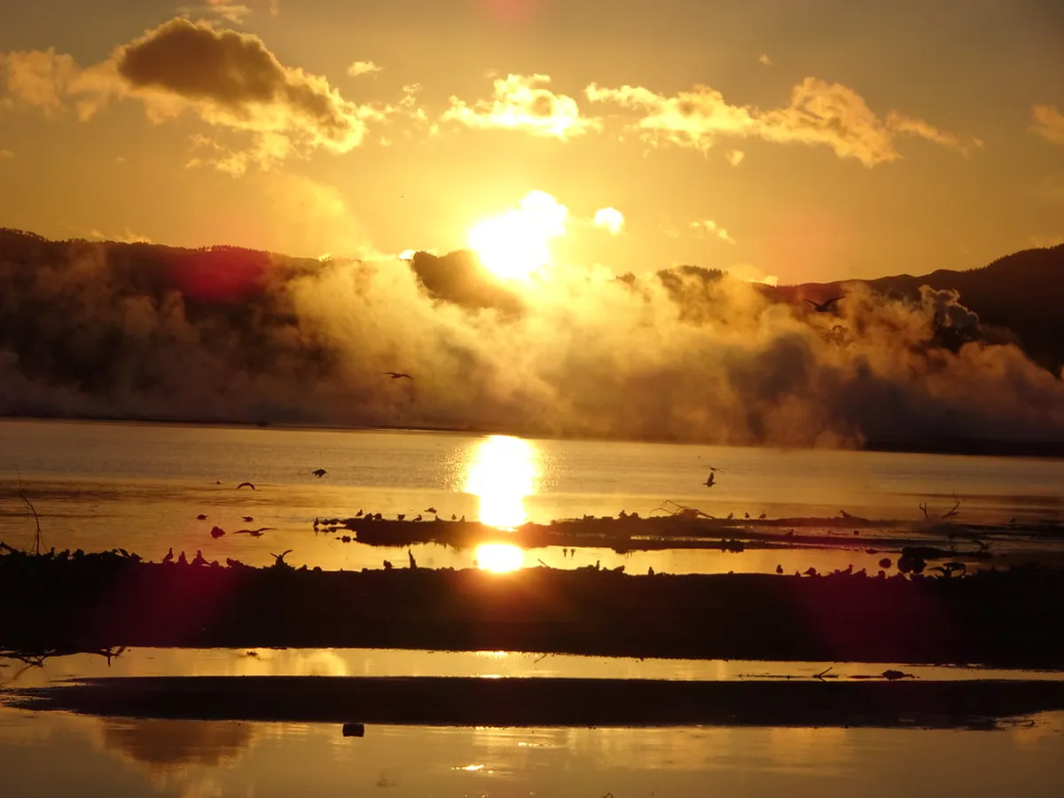 Rotorua's Spas