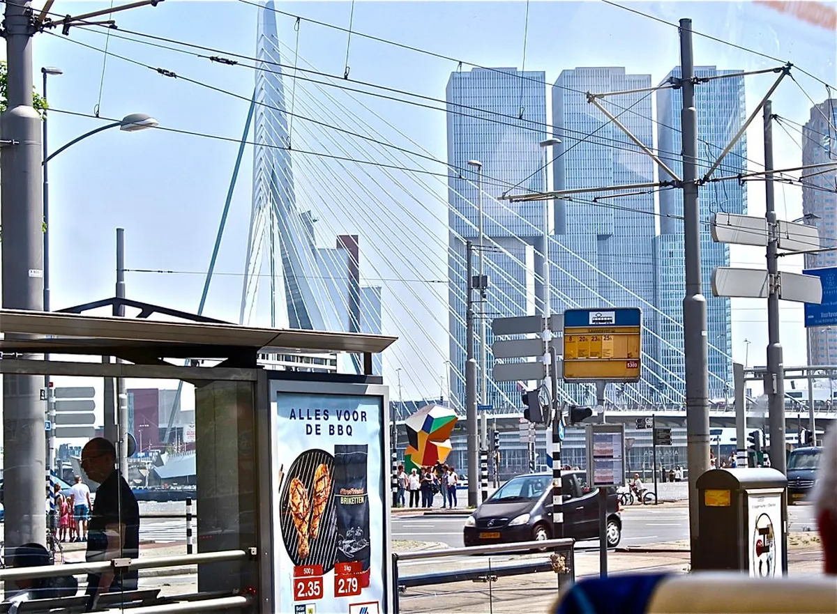 Introduction to rotterdam