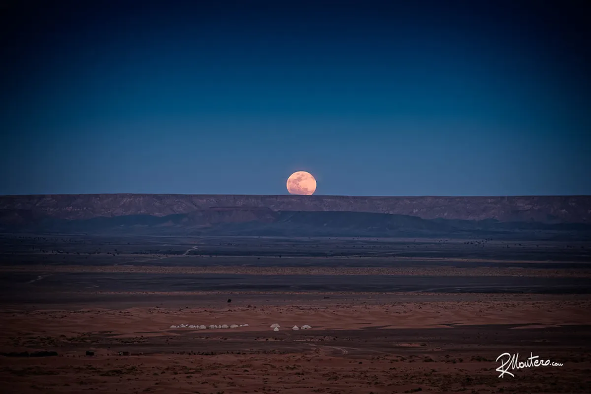 Sahara Desert