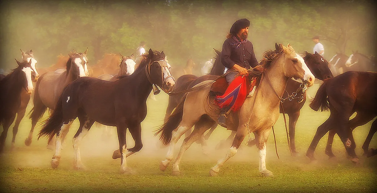 Introduction to san antonio de areco