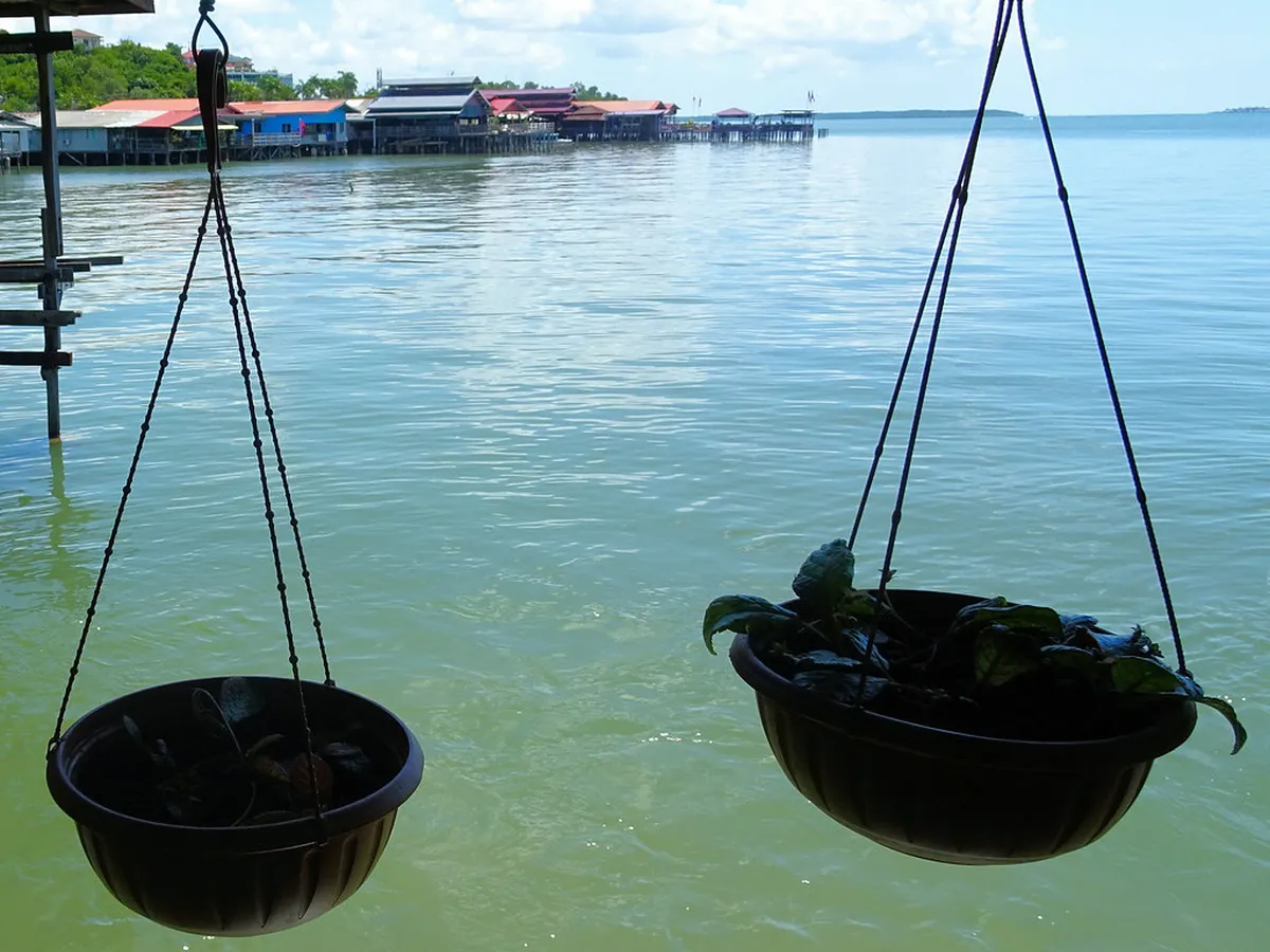 Introduction to sandakan