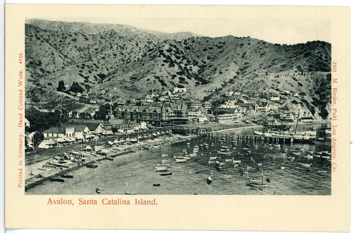 Santa Catalina's Beaches