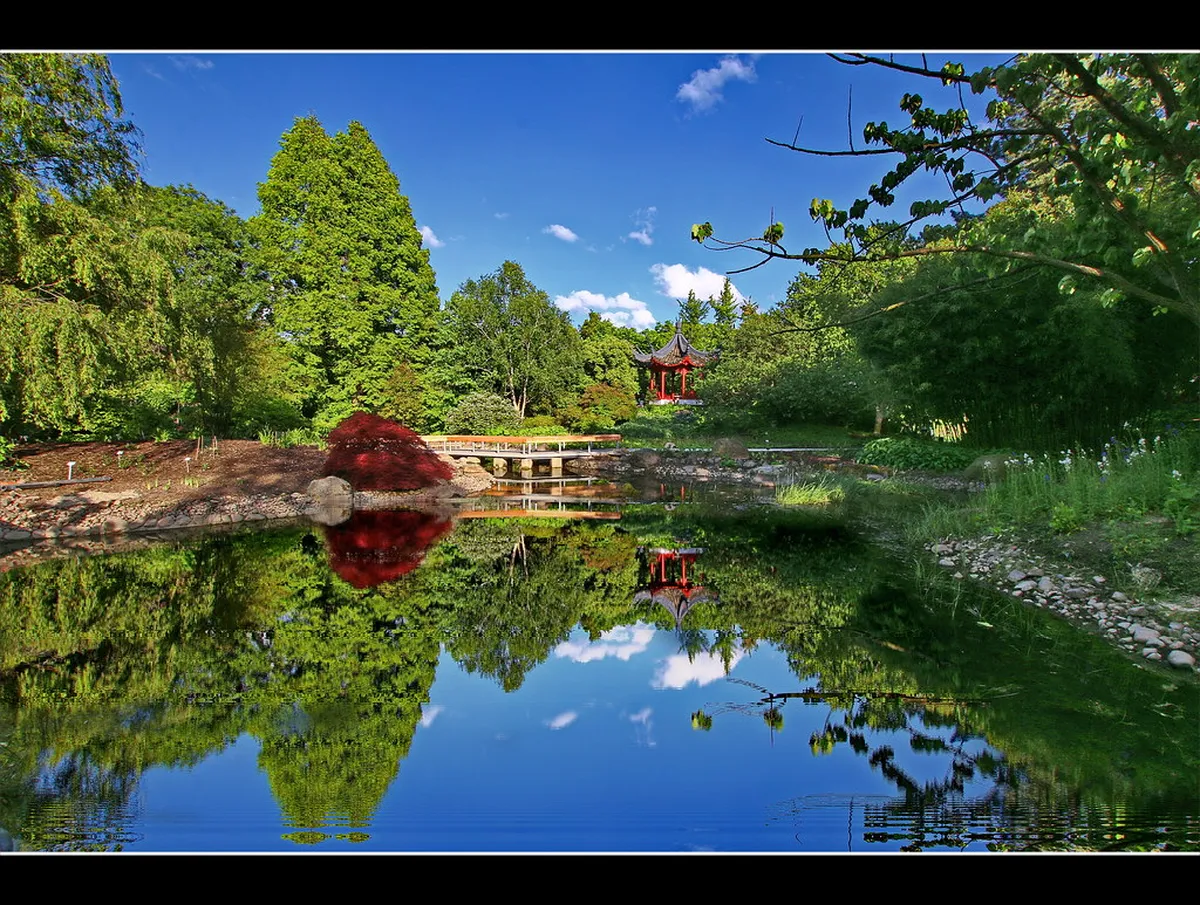 Serene Gardens