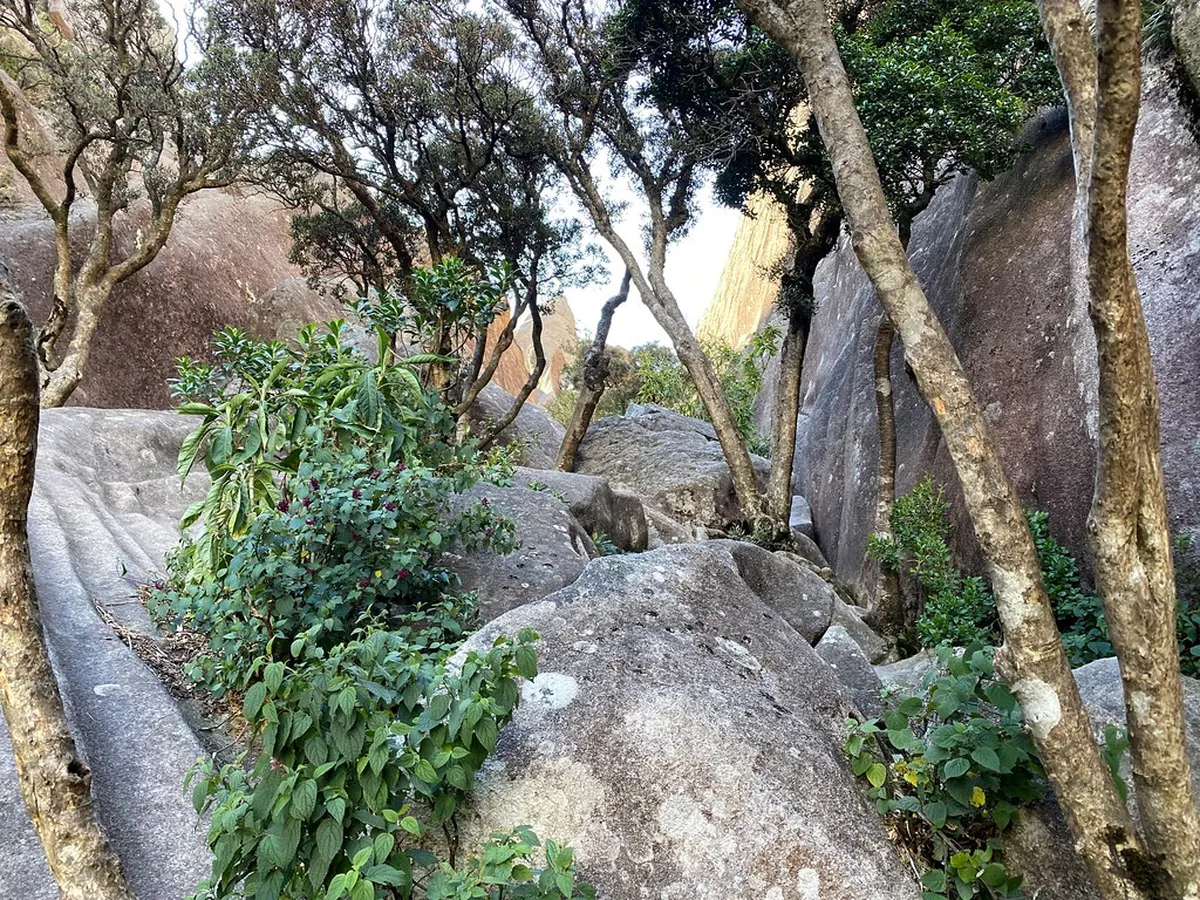 Serra da Bocaina