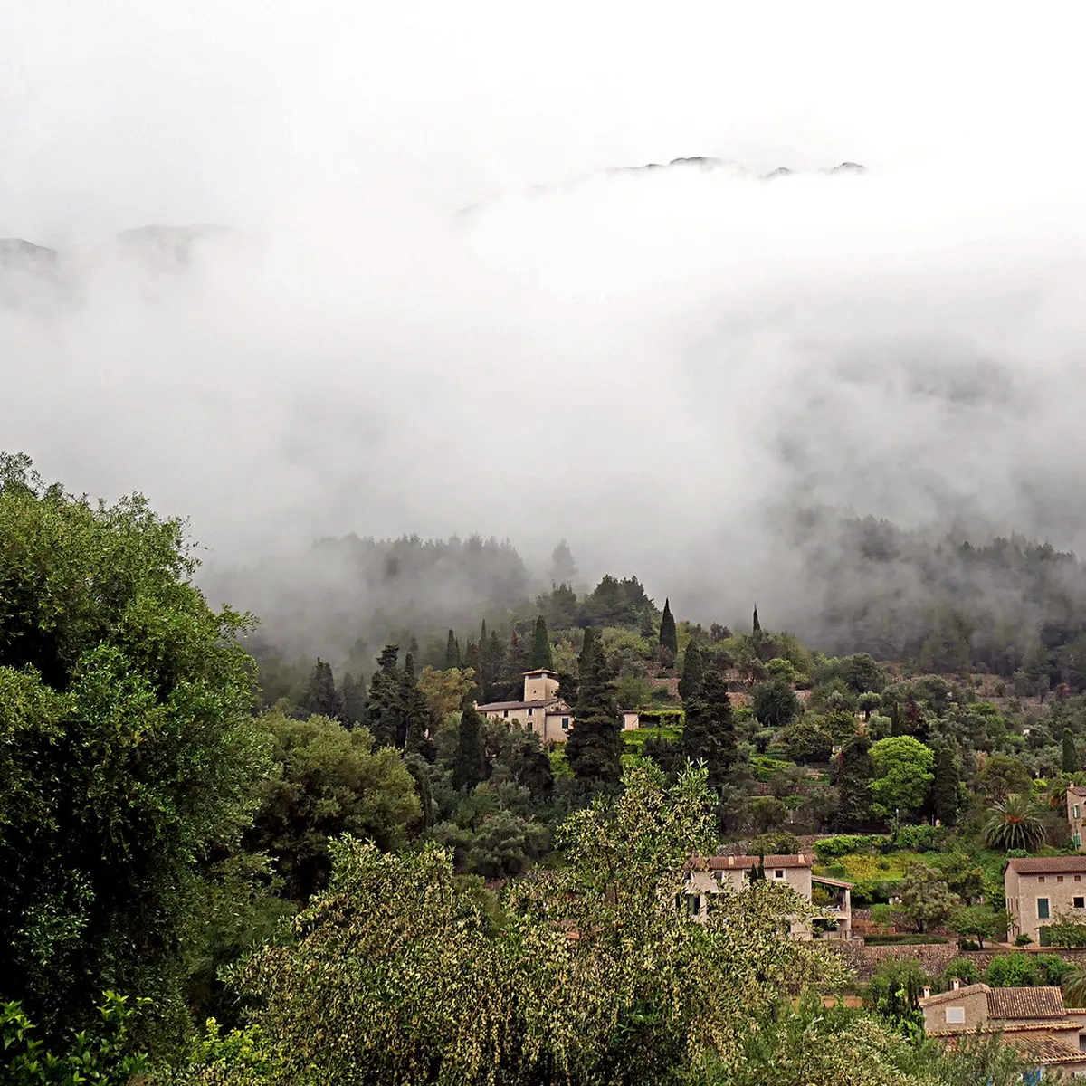 Serra de Tramuntana