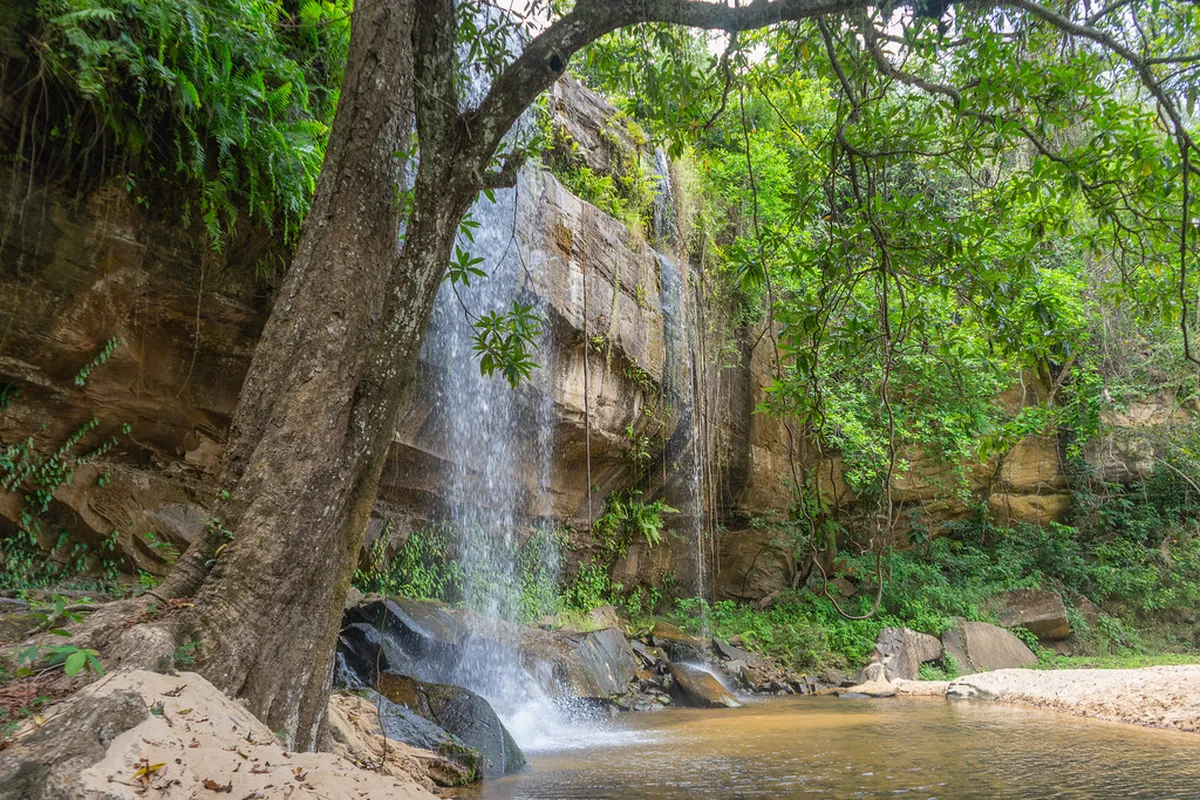 Shimba Hills National Reserve