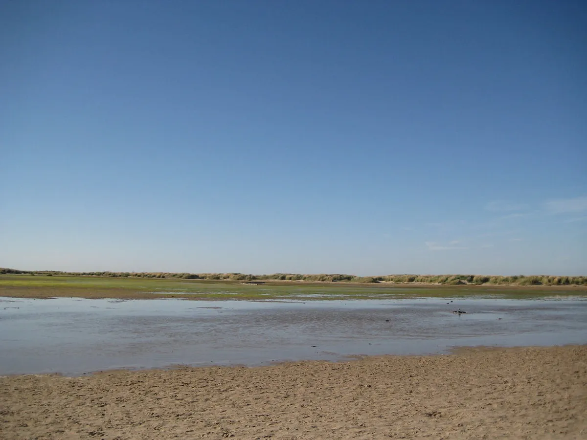 Introduction to skagen