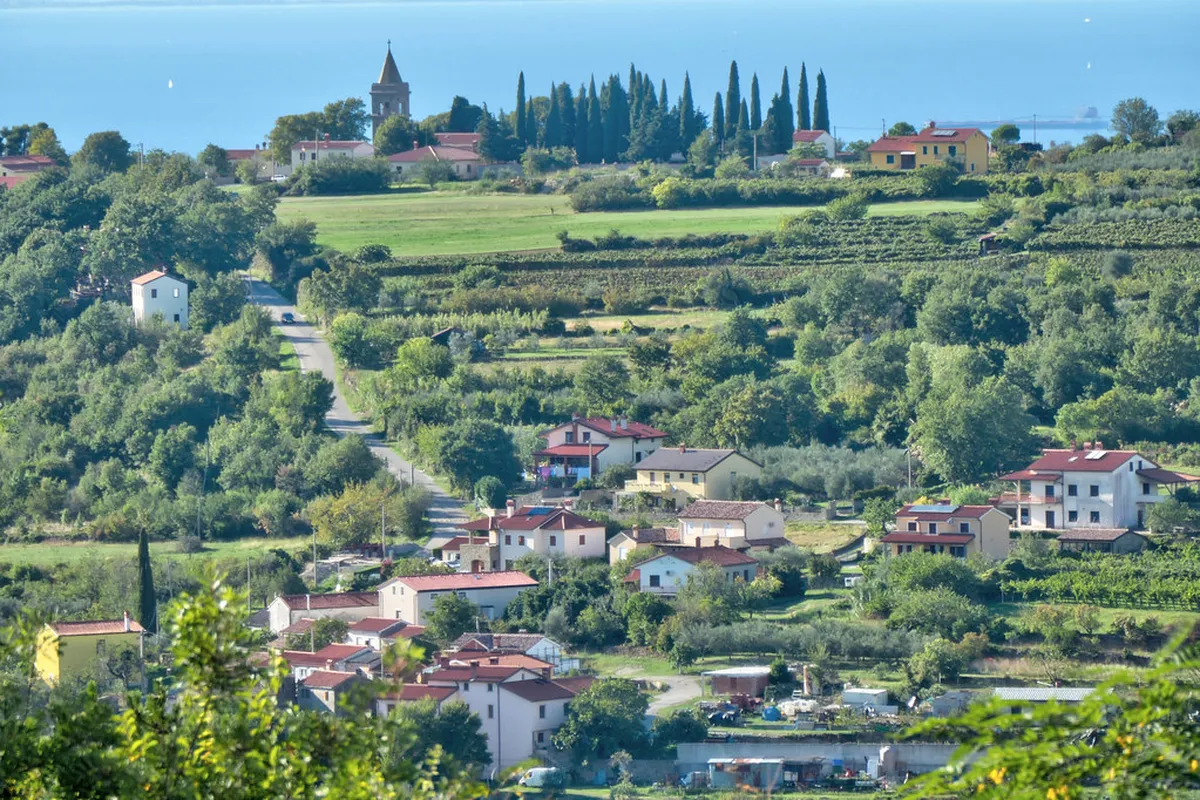 Slovenian Istria