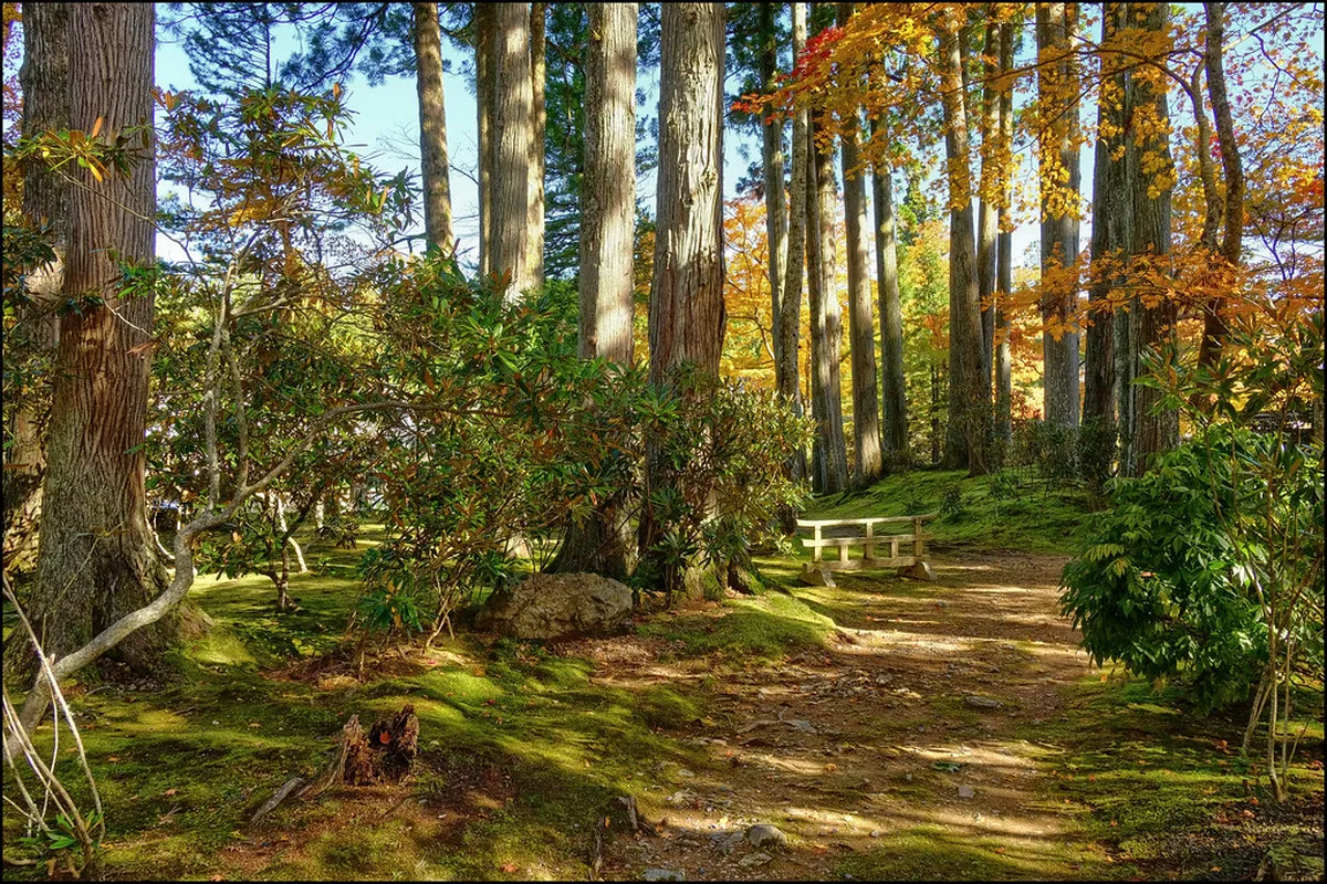 South Mountain Park
