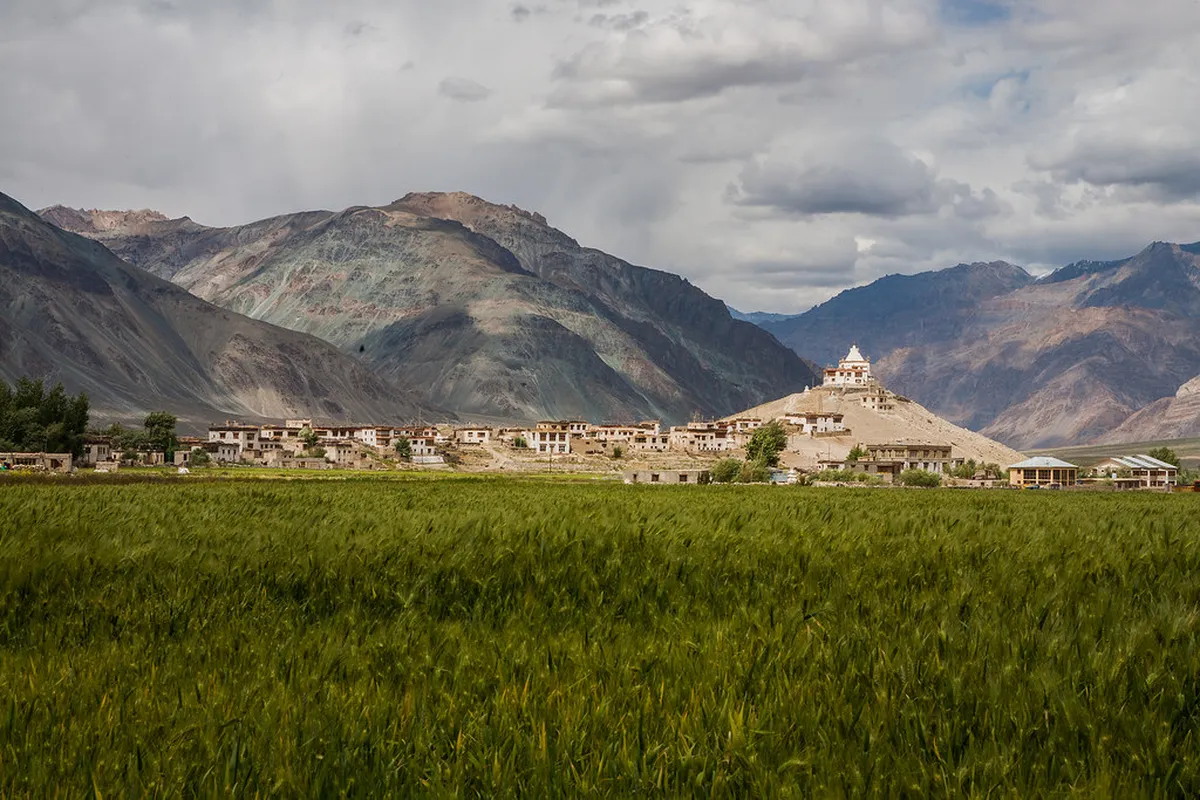 Surrounding Hills
