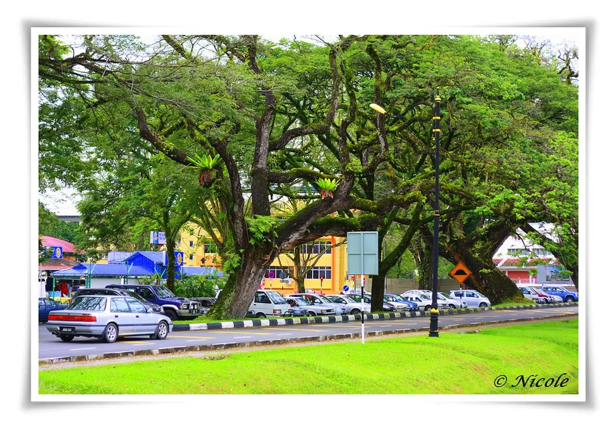 Taiping Lake Gardens