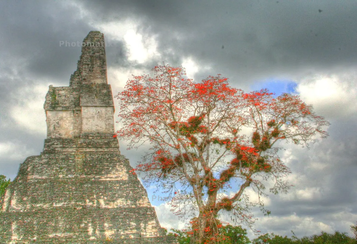 Tikal