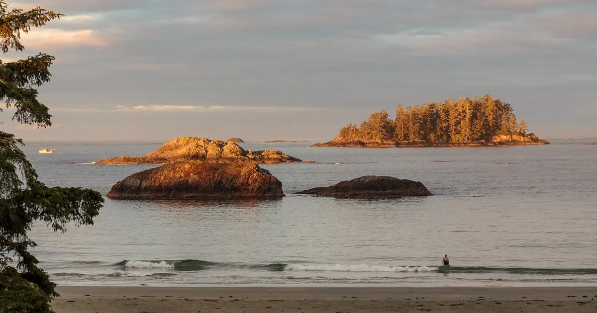 Tofino Town