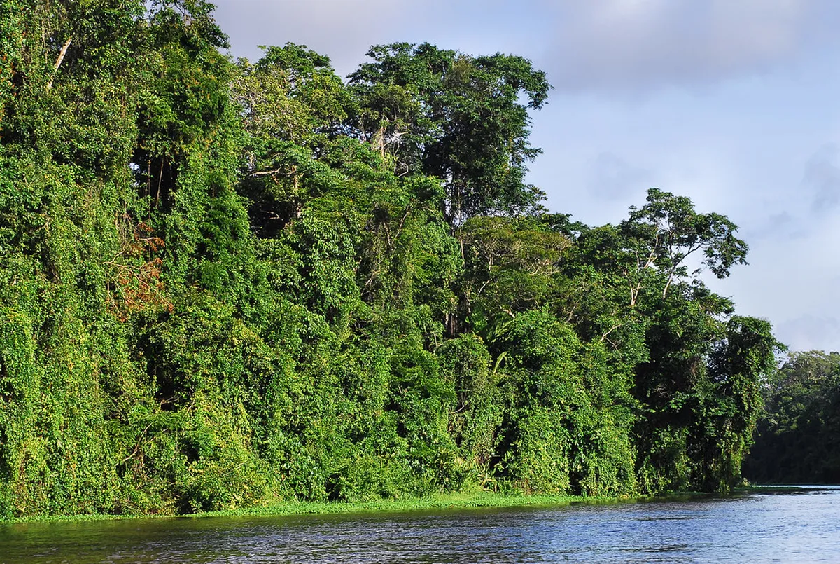 Tortuguero National Park